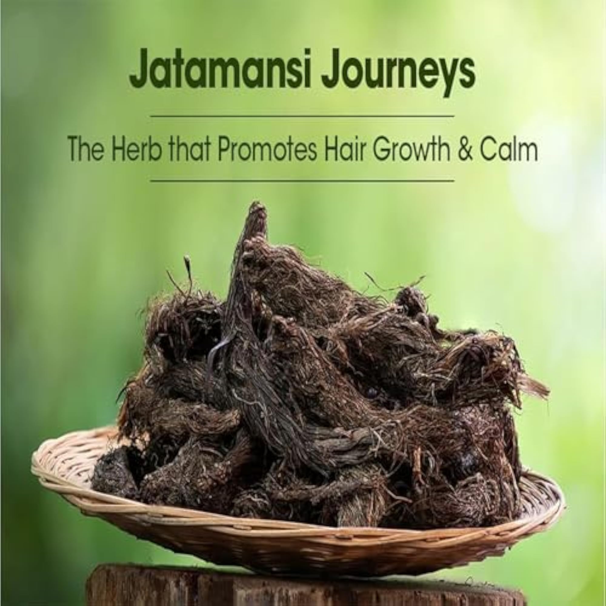 Jatamansi Raw Root for Natural Wellness