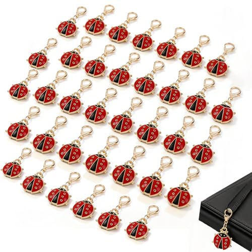 Zlokdraxy Lot de 36 Porte-clés Coccinelle Rouge, Amulette Porte-Bonheur en Alliage de Zinc,...