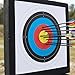 2Pcs 20'' Foam Archery Target, High-Density EVA Archery Targets for Backyard, Archery Target Block with 10pcs Targets Paper, 8pcs Target Pins, Arrow Puller (Foam Target)