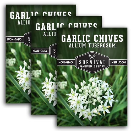 Survival Garden Seeds 3 Packs Garlic Chives Seed for Planting - Packet with Instructions to Grow Delicious Perennial Herbs in Your Home Vegetable Garden - Non-GMO Heirloom