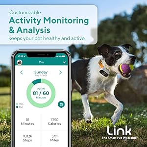 Link GPS Dog Tracker + Activity Monitor | Training Tools, Health Tracker, Waterproof, Flashlight, Lightweight, PetPass & Vet Record Storage, Fits On Most Collars | iPhone & Android Apps Link GPS Dog Tracker + Activity Monitor | Training Tools, Health Tracker, Waterproof, Flashlight, Lightweight, PetPass & Vet Record Storage, Fits On Most Collars | iPhone & Android Apps