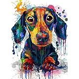DVBQQWE Dachshund 5D Diamond Painting Kit Full Drill Crystal Rhinestone Cross Stitch Embroidery Arts Craft Picture Supplies for Home Wall Decor 12 X 16 Inch