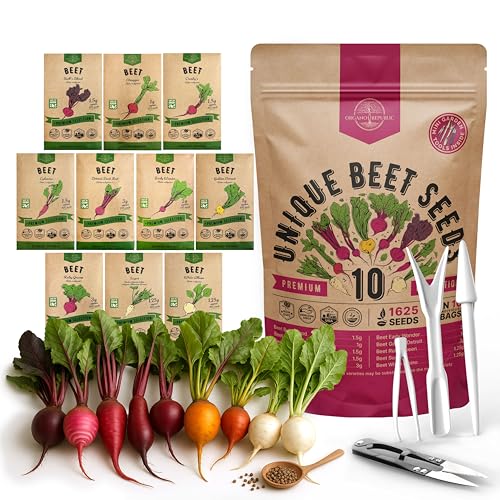 Organo Republic 10 Rare Beet Seeds Variety Pack for Planting Indoor & Outdoors 1625+ Heirloom Non-GMO Bulk Beets Gardening Seeds: Chioggia, Detroit Dark Red, Sugar, Cylindra, Bulls Blood, White Albino