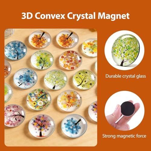 Imanes decorativos para frigorífico 16 piezas miniatura 2