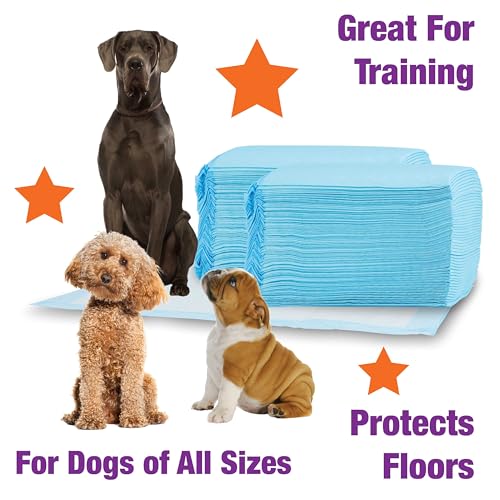 Image of Cudlie Training Pads for Dogs, 100 Count ,22 inchx22 inch| Puppy Pee Pads for Dogs | Absorbent Dog & Puppy Supplies for Dog Training and House Training