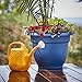 Bloem Classic JW Watering Can, 2 Gallon, Deep Sea (JW82-31),Deep Sea Blue