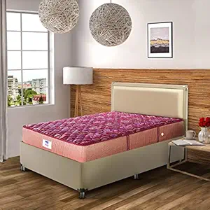 peps Springkoil Bonnell 6-inch Single Size Spring Mattress (Maroon, 72x36x06) with Free Pillow