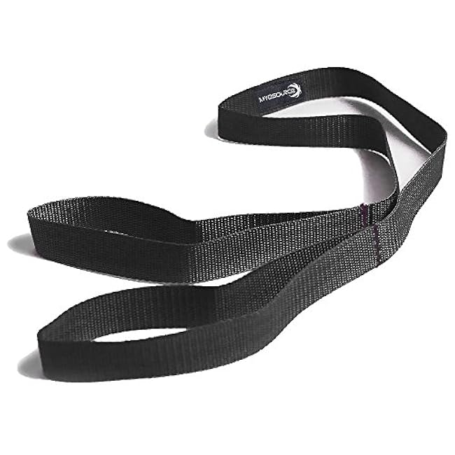 Dance Leg Resistance Bands and Flexibility Strap Training Kit ¨C Ballet Dancer Body Conditioning, Strength, Endurance ¨C Digital Training Download