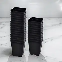 Kit 50 Vasos Quadrados Tamanho 9 Modelo 7x8cm de 200ml Plástico para Suculentas e Jardim