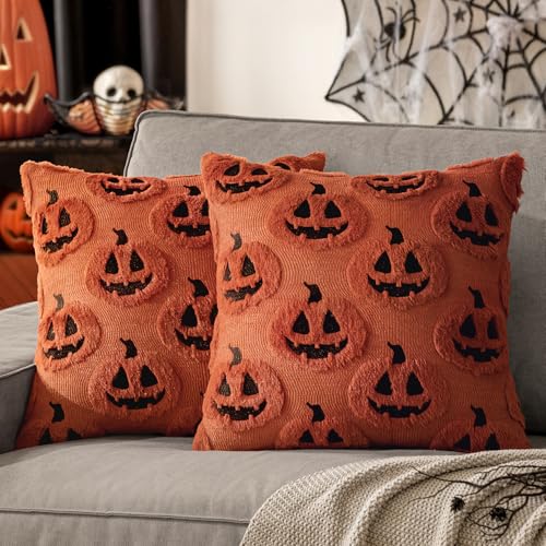 Halloween Pillow Covers 20x20
