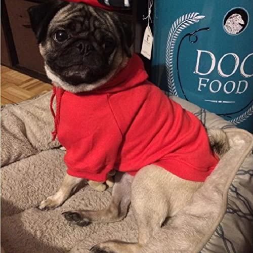 Sweat à capuche pour chiens sweat-shirt vert confortable L