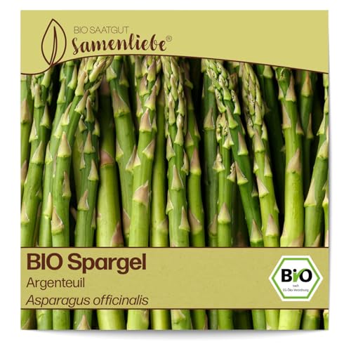Samenliebe BIO Spargel Samen Gemüsesamen Argenteuil 80 Samen Gemüse Samen Garten Spargel Saatgut samenfeste mehrjährig Pflanzen für Garten und Freiland