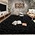 Tepook Area Rugs 8x10 for Living Room, Super Soft Fluffy Rugs for Bedroom, Modern Shaggy Rug Fuzzy Carpets for Kids, Plush Indoor Nursery Home Decor Rug with Non-Slip Bottom, Black