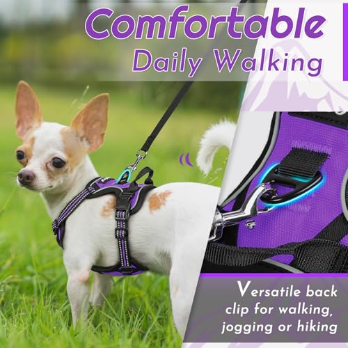 Image of Eagloo Dog Harness for Small Dogs, No Pull Pet Vest with 2 Leash Clips