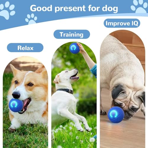 Catnat Interaktives Hundespielzeug Ball, 2026 Neu Scrollen Hundespielzeug Intelligenz Hundeball, Elektrisch Hunde Spielzeug Interaktives Spielzeug für Katzen Hunde (Blau)