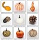 POPOYU 123 Stück Herbst Dekoration Tisch,Künstliches Kürbisse Set mit Deko Kürbisse Zierkürbisse Eicheln Tannenzapfen Blätter Deko Streudeko Herbst für Fall Herbst Thanksgiving Halloween Deko Innen