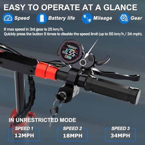 Off-Road Electric Scooter Adults with Seat,1600W/1200W