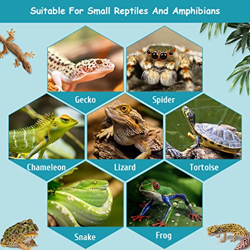 Hamiledyi Reptile Hide Box Leopard Gecko Hideout Cave With Sink Humidifier Lizards Hideaway Hut Flexible Leaves Pet Habitat Decor For Snakes Leopard Spiders Turtles Amphibians #TOP6