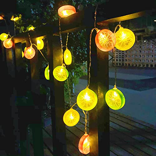Riaxuebiy Lemon Slice Decor Lights Lemon Green Leaf Vine Fairy Lights 3M 20LED USB Powered Fruit Garland Lamp for Kitchen Patio Fence Camping Holiday Party Summer Decoration (Mixcolor Lemon) - Image 3