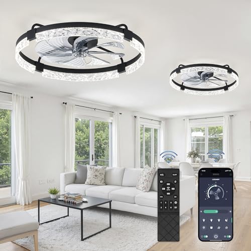 Image of LEDIARY 2-Pack 24 inch Ceiling Fans with Lights, APP & Remote, Black