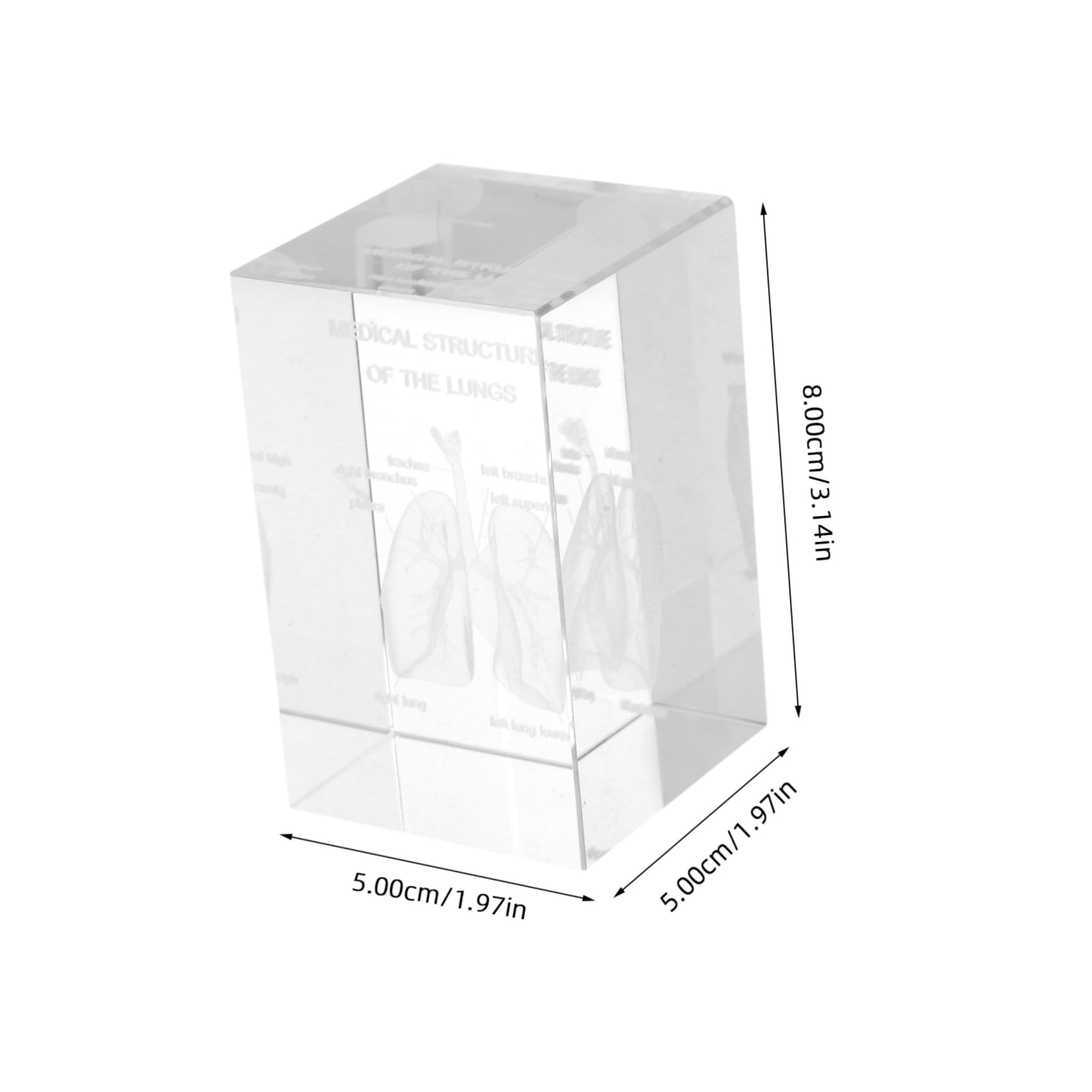 Modelo Anatómico del Pulmón en Cristal 3d Intrincado Grabado Interno, Diseño en Cubo Elegante para Enseñanza Científica y Decoración en Oficina