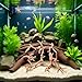 Sluswallow 1Pc Natural Aquarium Driftwood Branches Wood Aquarium Trunk Driftwood Tree Fish Tank Log Decoration Plant Stump, Thematic Ornaments Assorted Size, Aquarium Décor (8-10cm)