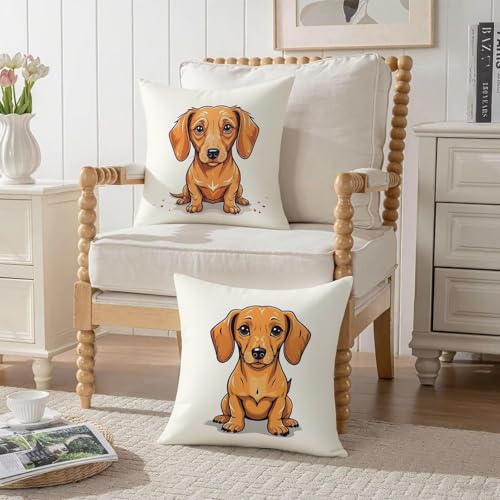 Housse Coussin 75x75cm Lot de 2 Géométrique Brun Velours - 4