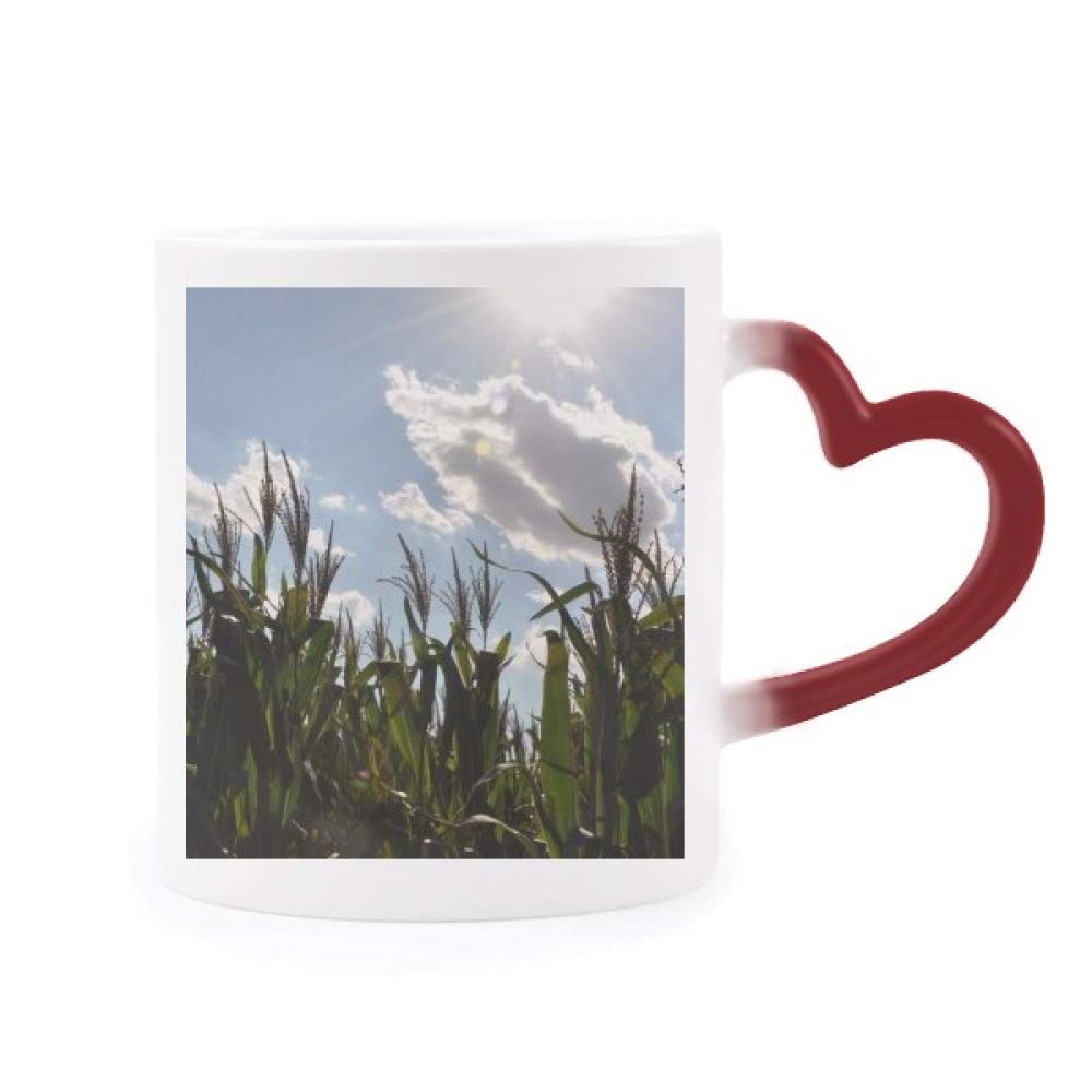 Blue Sky Clouds White Heat Sensitive Mug Red Color Changing Stoneware Cup