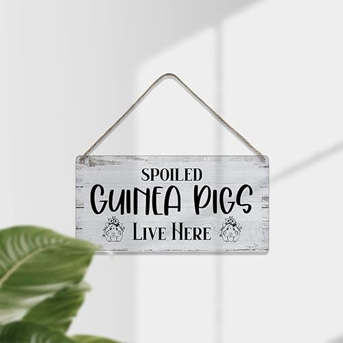 Vista 45 de MIGUMUTU Letrero de madera con texto en inglés "Behind You All Your Memories Before You All Your Dreams