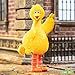 Super7 Sesame Street Big Bird - 3.75