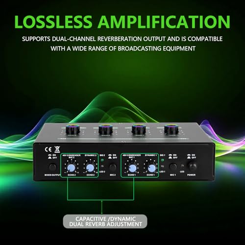 Amplificateur de microphone double avec processeur de réverbération studio - 3