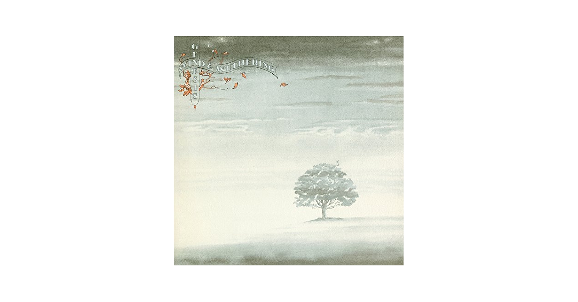 Amazon.com: Wind & Wuthering: CDs & Vinyl