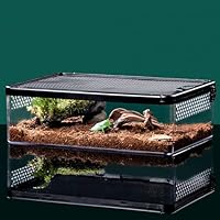Reptil Fütterungsbox, Reptilien Errarium Fütterungsbox, Terrarium, Allzweckbehälter für Reptilien, Amphibien, Mäuse und Insekten, Mittel Flach, 32x22x10cm
