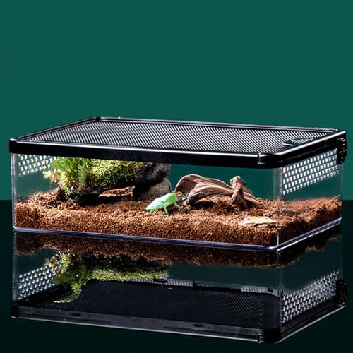 Reptil Fütterungsbox, Reptilien Errarium Fütterungsbox, Terrarium, Allzweckbehälter für Reptilien, Amphibien, Mäuse und Insekten, Mittel Flach, 32x22x10cm