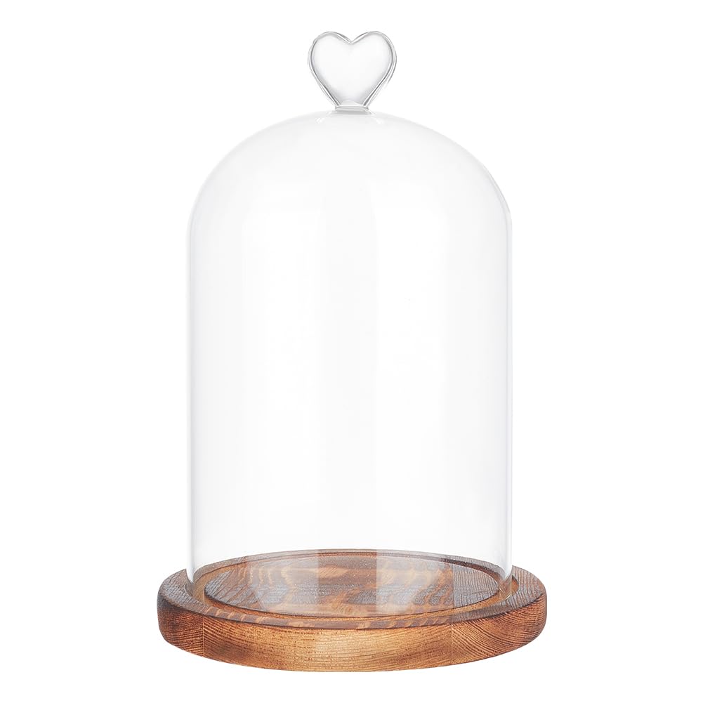 NBEADS Cúpula de Cristal En Forma de Corazón, Terrario de Tarro de Campana Cloche de 22cm de Largo con Base de Madera para Decoración de Escritorio de Velas Aromáticas, Claro