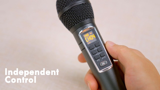 Karaokemachine, draagbaar 2 draadloos microfoonsysteem