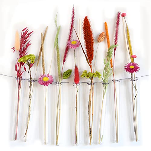12 tubos de reacción para flores para colgar, tubo de ensayo con borde para colgar, decoración de ventana, jarrón de cristal, decoración de boda flores (15 cm)