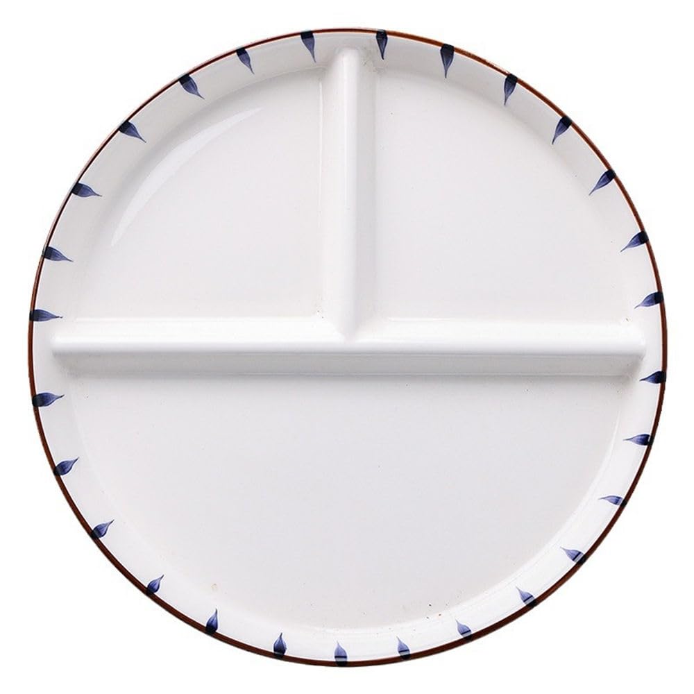 DouYuan Porcelain Divided Plate, 9 Inch Round Portion Control Plates for Adults Ceramic, Healthy Eating Section Plate for Dessert Salad Steak Sushi Spaghetti