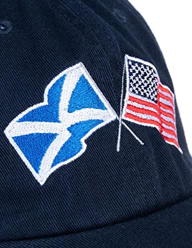 Image of Ann Arbor T-shirt Co. American Friendship Nations Flag Baseball Low Profile Dad Hat for Men Women