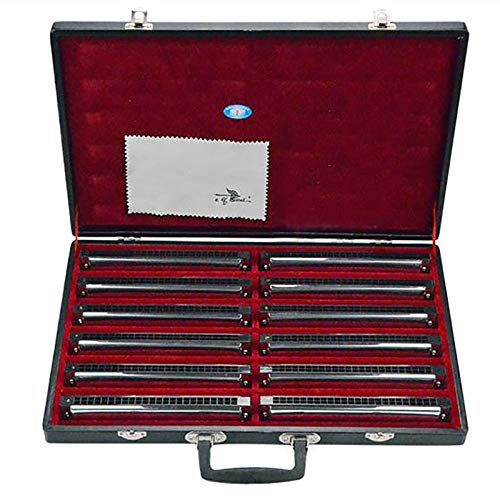 Swan 24-hole playing polyphonic harmonica E/F/#F/G/#G/A/#A/B/C/#C/D/#D 48 tone set harmonica with beautiful sound quality durable and classic gift box