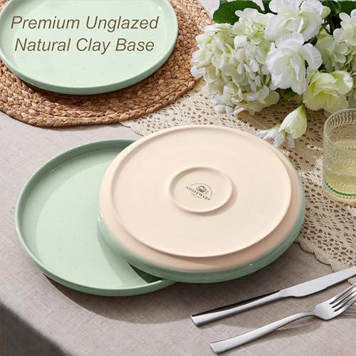 Image of LIANYU Dinner Plates Set of 4, 10.5'' Large and Round Stoneware Plates, Ceramic Dishes Set for Kitchen Serving Salad, Dessert, Steak, Oven, Microwave & Dishwasher Safe, Scratch Resistant, Fog Green
