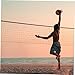 NAMOARLY 1 Set Professional Beach Volleyball Net Volleyball Net Poles for Badminton and
