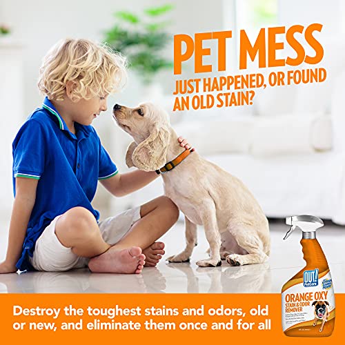 OUT! PetCare Orange Oxy Stain & Odor Remover Oxy Clean Pet Stain and