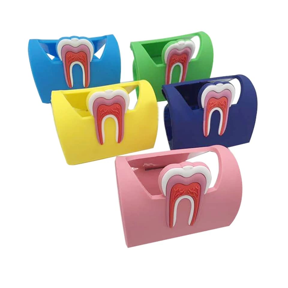 InstruDent Dental Card Holder DA- 141 1 Pk (B0BRN2DWBX) Amazon Price History, Amazon Price Tracker