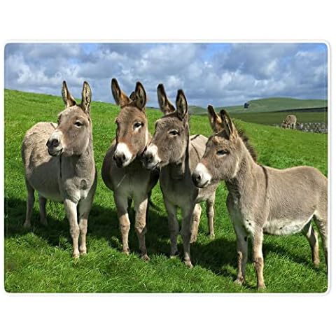 TSlook 60x80 Blankets 4 Donkeys Green Grass Cover