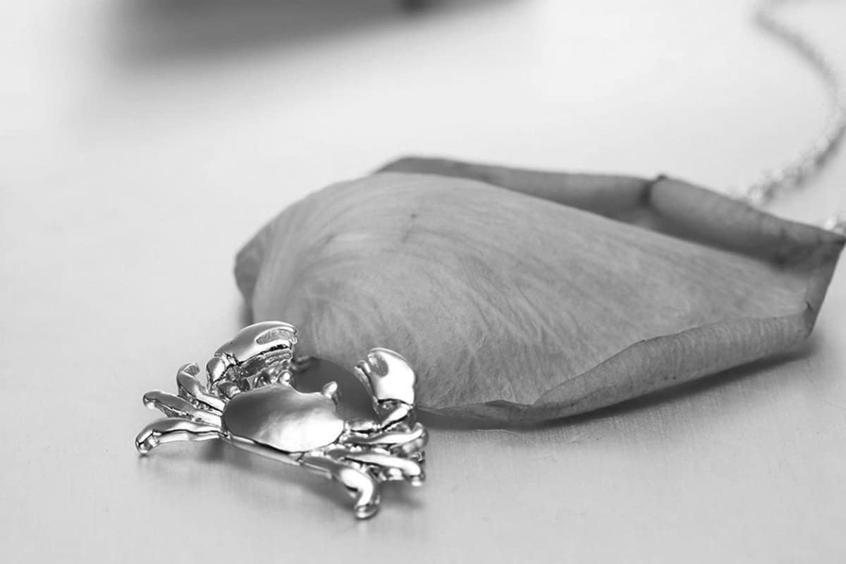 MOKAVIKY 25 Animal Crab Pendant Necklace for Women Silver Chain Crab Charm Choker Dainty Jewelry - Image 7