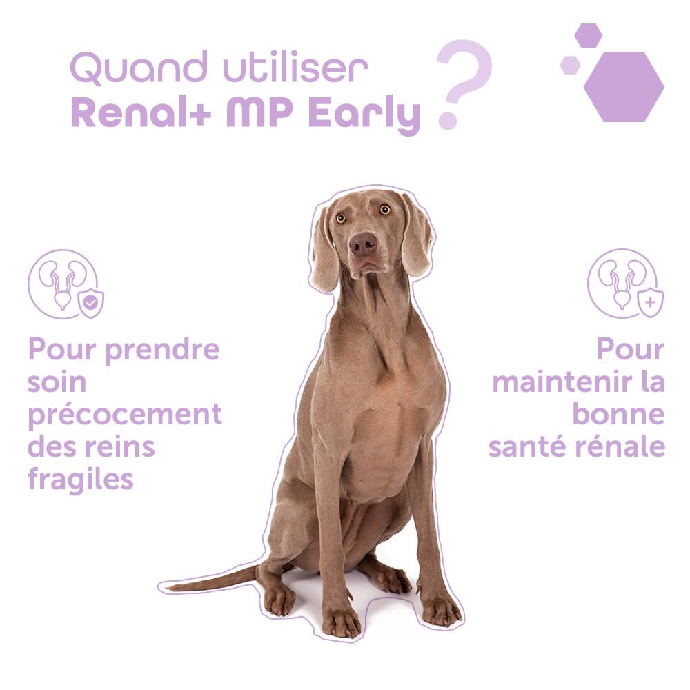 MP Labo Renal + MP Early 20 g - Santé Rénale pour Chien et Chat