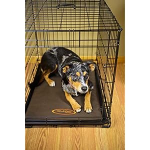 Mud River Crate Cushion