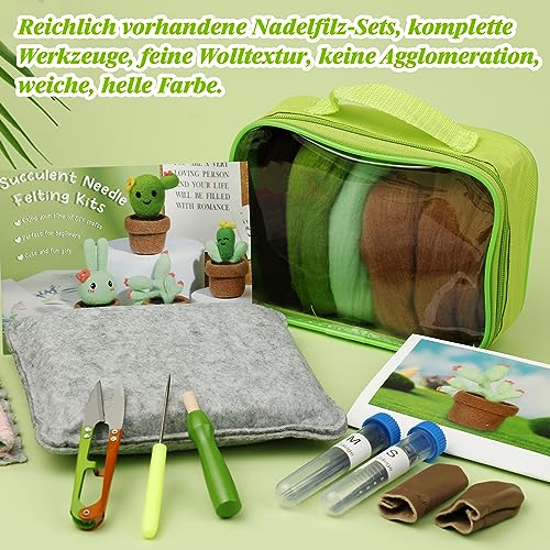 Kit de feutrage à l'aiguille laine à feutrer cactus accessoires Bamru