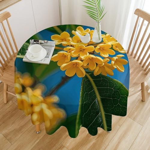 Nappe ronde anti-tache avec fleurs d'osmanthus pour préserver votre table